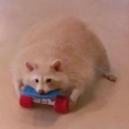 DerpitDave's Avatar'