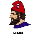 The_Soma's Avatar'