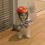 Xjmmm4847's Avatar'
