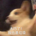 echot9's Avatar'