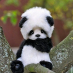 imcuteboying's Avatar'