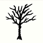 PK_E8's Avatar'
