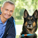 HundeTrainer's Avatar'