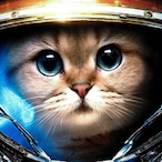 Maverick100S's Avatar'