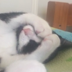 snow-halation.'s Avatar