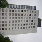 obliviondentist's Avatar