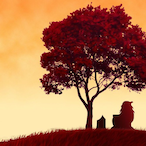 Xim lz fun's Avatar'