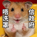 RoseBuzzer's Avatar'