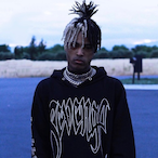 RogueTree853689's Avatar'