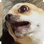YourFriendSwitz's Avatar'
