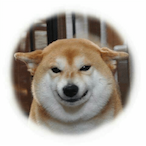 Tjomsx's Avatar'