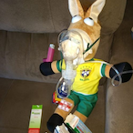 DarckPhonix's Avatar'