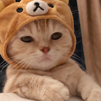 byeonwooseok.'s Avatar'