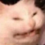 DuckenQ's Avatar'