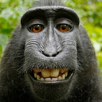 mattkenney57's Avatar'