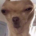 LiquidInMyPants's Avatar'