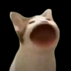 Derchi508's Avatar'