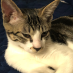 ngakitty45's Avatar'