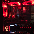 Robert3391's Avatar'