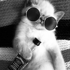 Preyy_Preyt's Avatar'