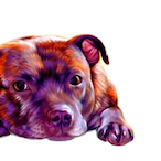 TheRemias's Avatar'