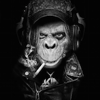 Aki_ro's Avatar'