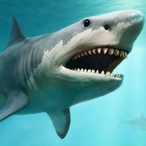 Killershark5137's Avatar