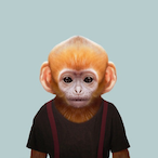 MomoTheMonkey33's Avatar'