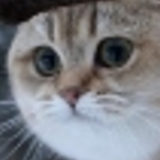 Mr.Katik's Avatar'