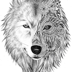 The_Nerax's Avatar'