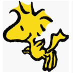 snoorpy's Avatar'