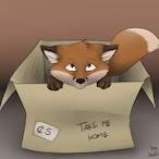 BoxxoTheFox's Avatar'