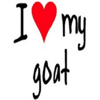 Goatee_Goat's Avatar