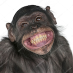 notPaiton's Avatar'