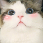 kawaiidisekey's Avatar'
