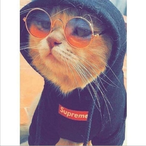 itz_ferra's Avatar'