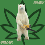 YonkiPolar's Avatar'