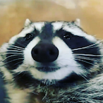 ZestyStudMuffin's Avatar'