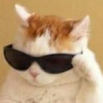 zfforte's Avatar'