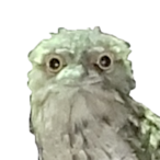 SmellySkull's Avatar'