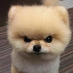 MmoThe_Noob's Avatar'