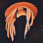 Schwobit's Avatar'