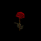 Str8ins8ne's Avatar'