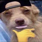 Sherlock.Holmo's Avatar'