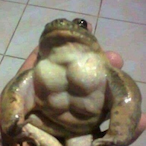 zbyslawk's Avatar'