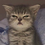 nluji's Avatar'
