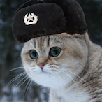 lilyeetmaster's Avatar'