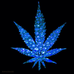 Veiknt's Avatar'