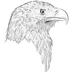 radenn9's Avatar'