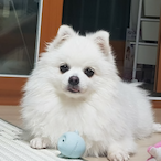 L_U_R_K_N_'s Avatar'